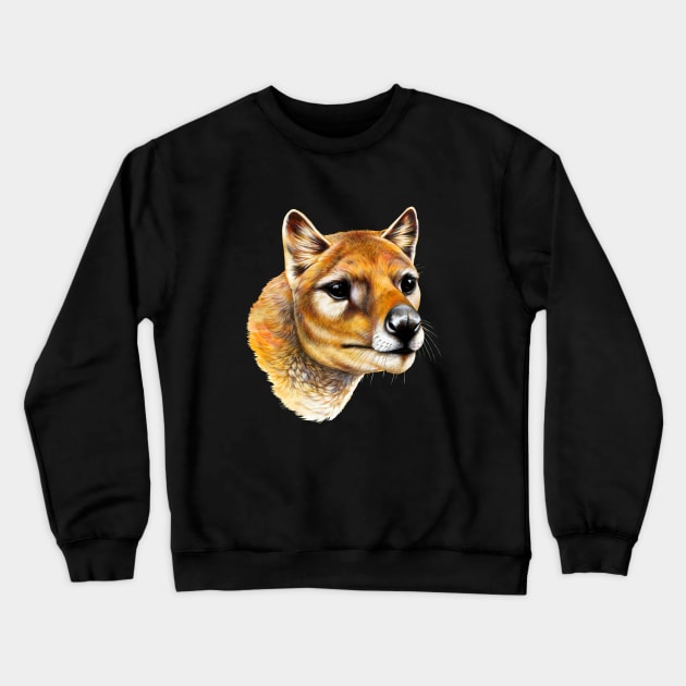 Tasmanian Tiger (Thylacine) Portrait Crewneck Sweatshirt by Pip Tacla